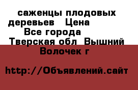 саженцы плодовых деревьев › Цена ­ 6 080 - Все города  »    . Тверская обл.,Вышний Волочек г.